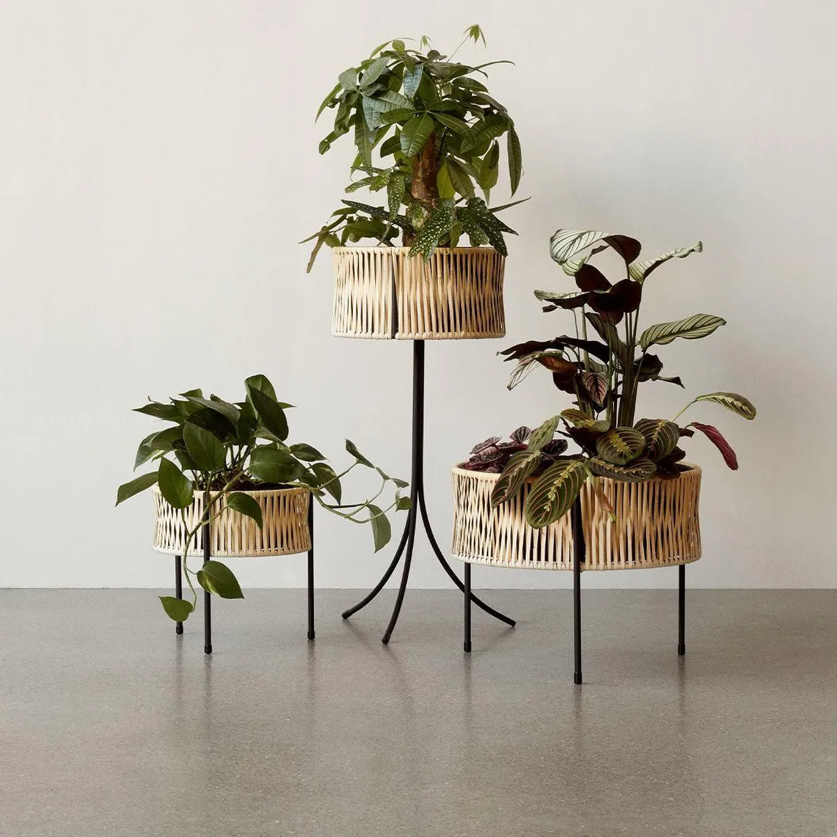 Umanoff Planter Blomsterpotte Liten