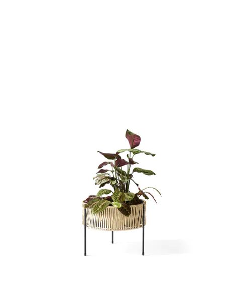 Hovedbilde Umanoff Planter Blomsterpotte Stor