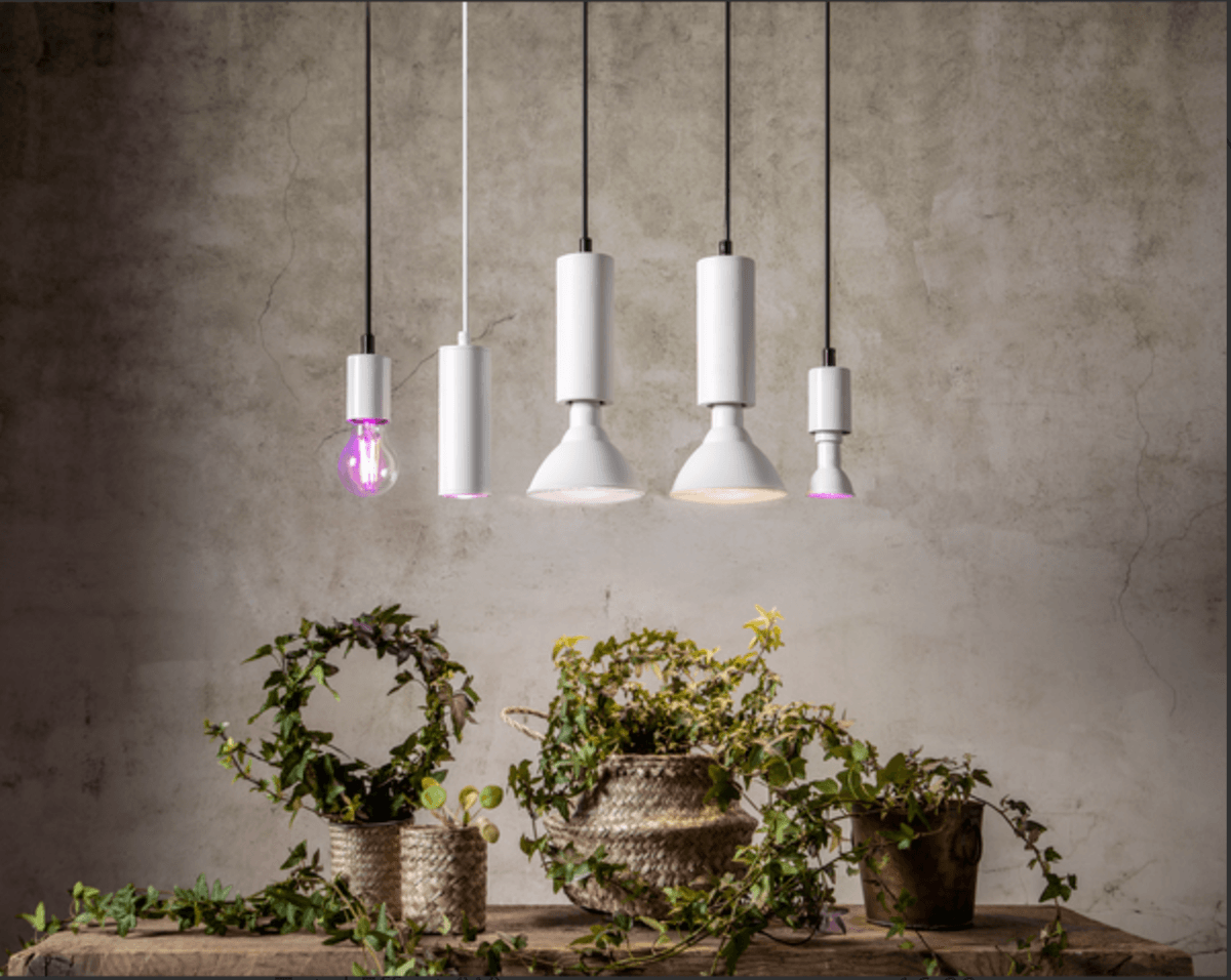 Star - LED Lamp E27 PAR38 Plant Light